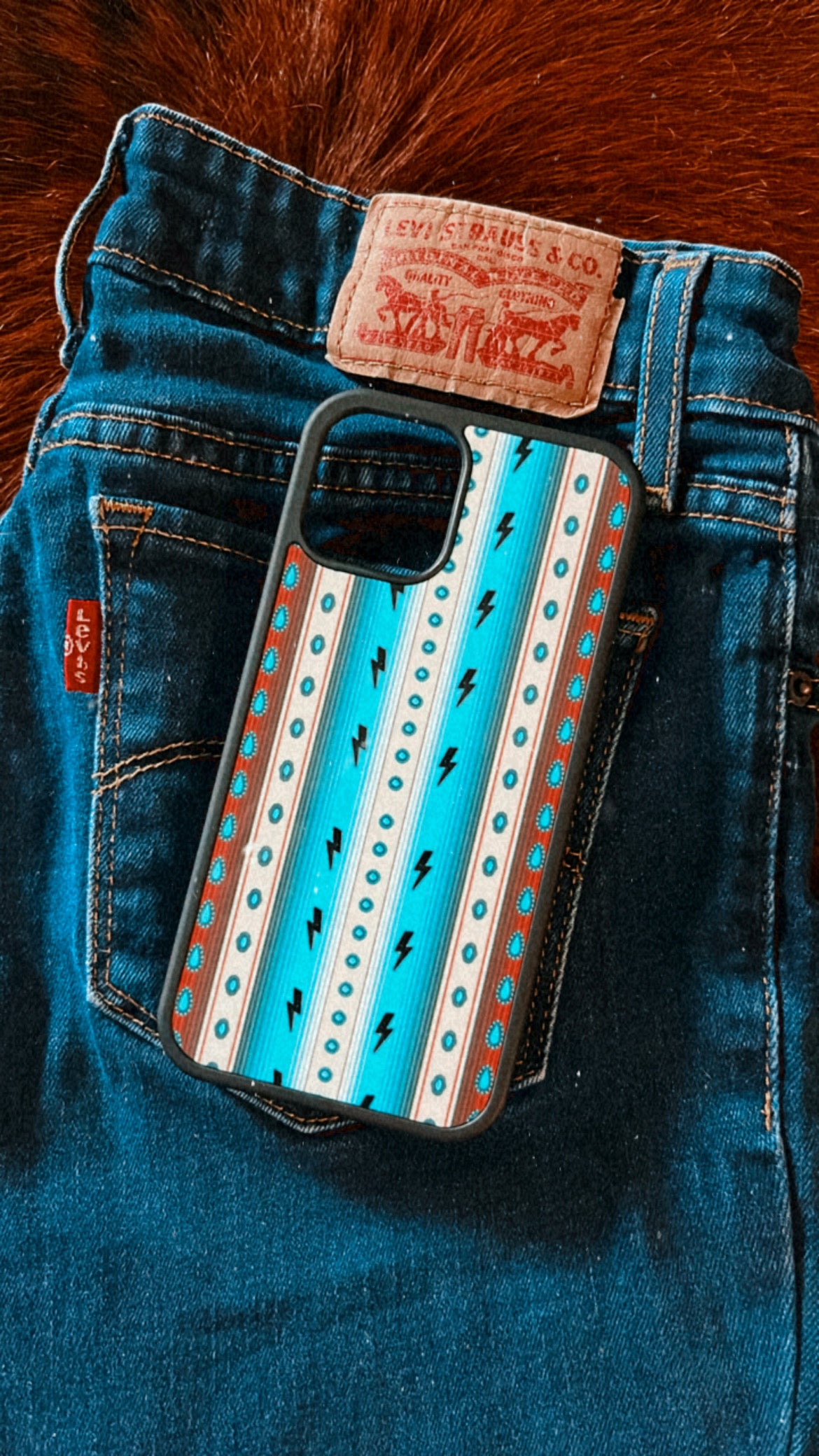 Western Stripes Phone Case