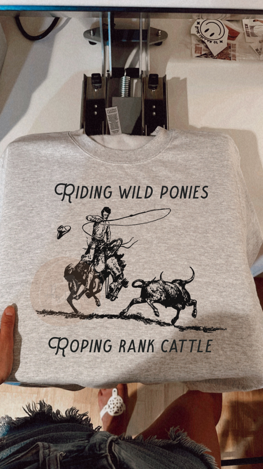 Wild Ponies & Rank Cattle